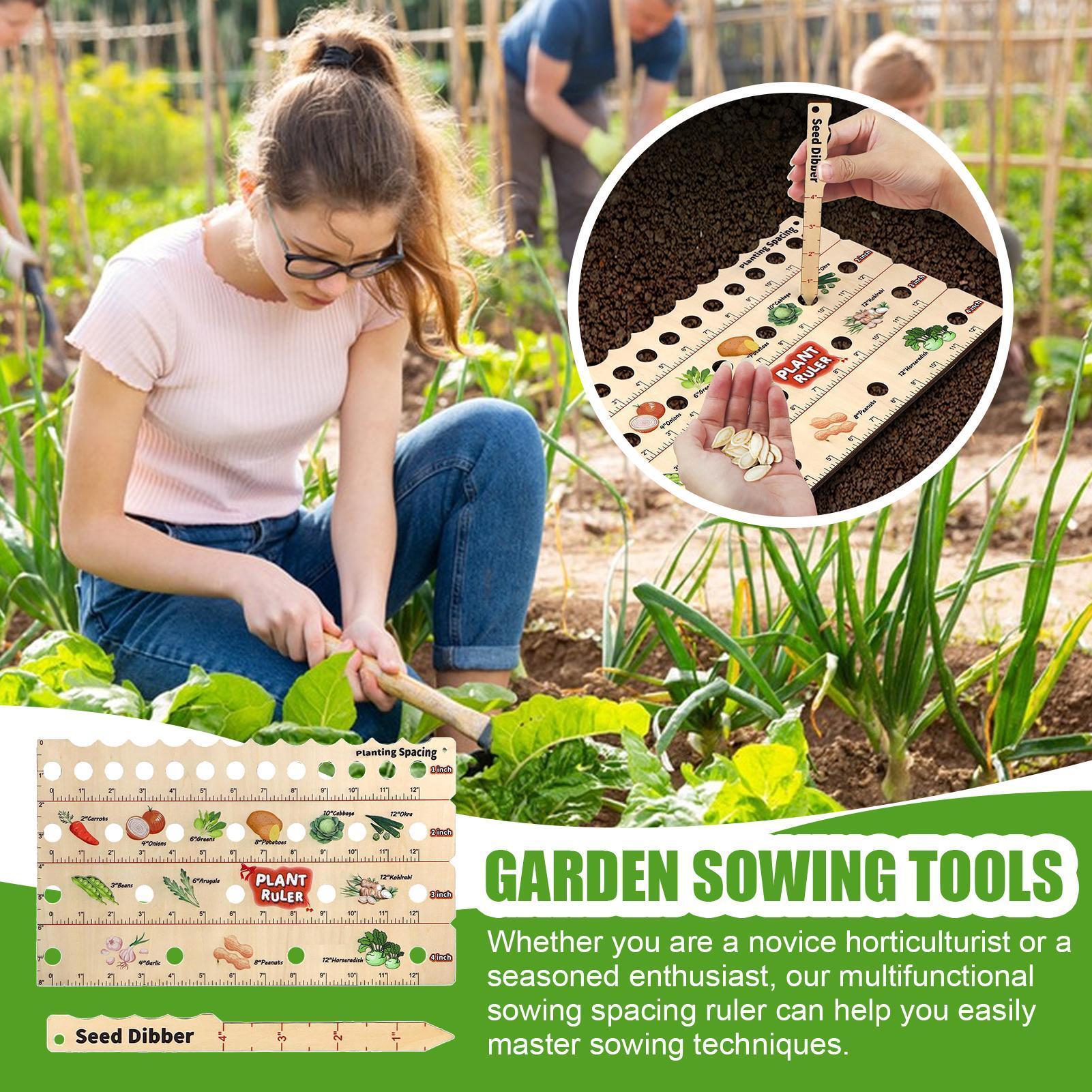 Wooden Plant Spacing Ruler Gar - Gardening Tools For Beginners ulasan dan harga