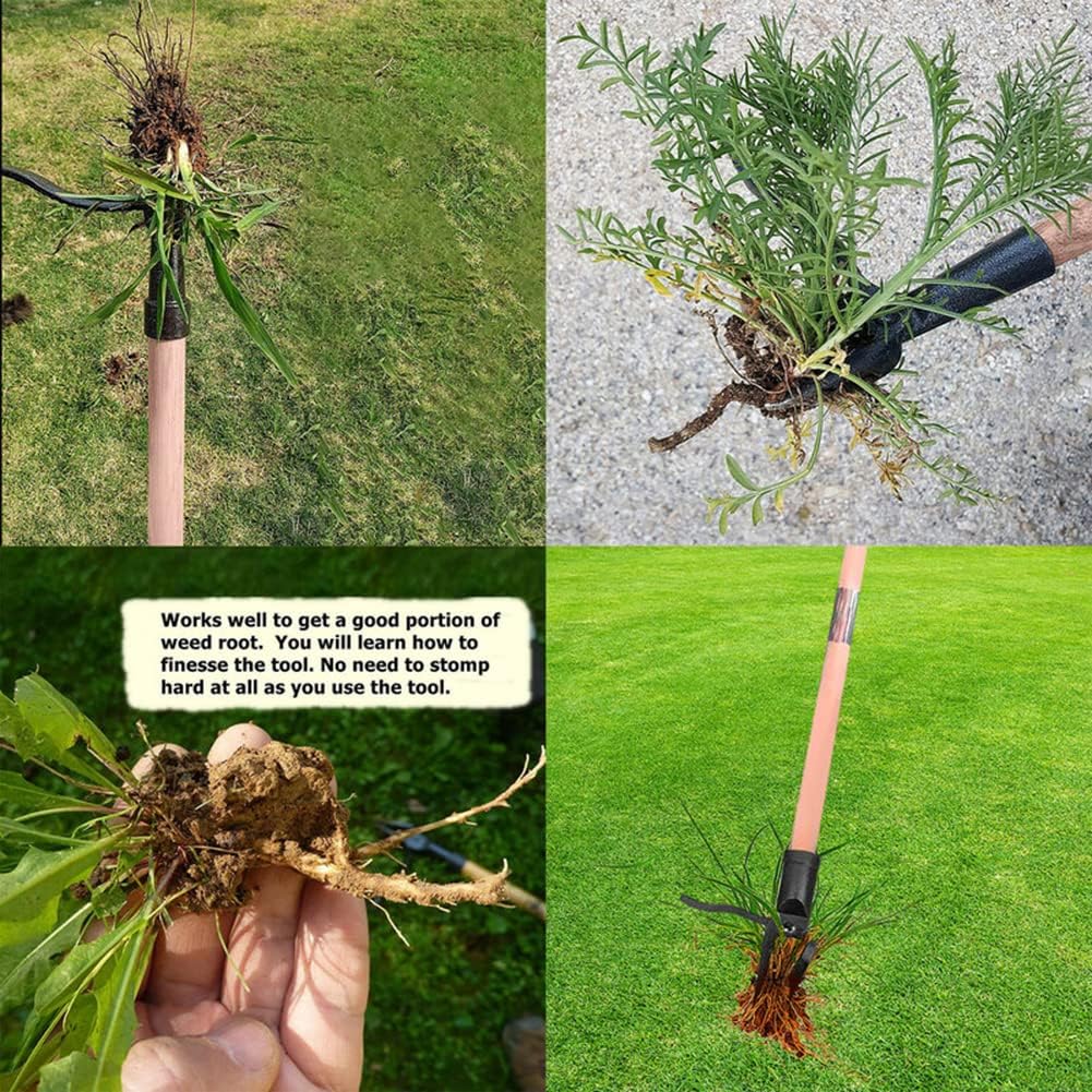 Stand Up Weed Puller Tool Deta - Gardening Tools To Remove Weeds ulasan dan harga