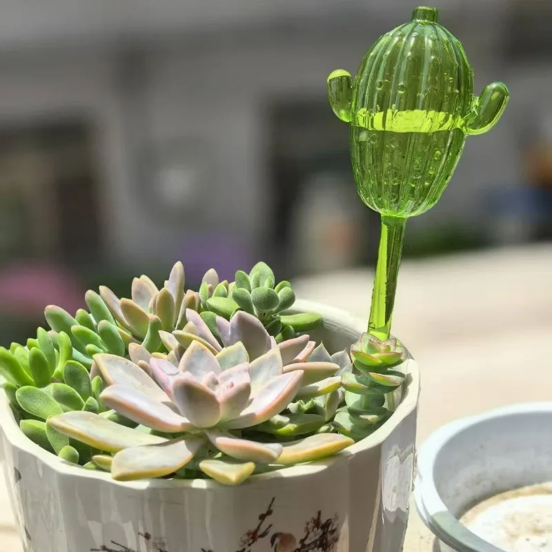 Unique Clear Plant Watering Ca - Gardening Tools For Beginners ulasan dan harga