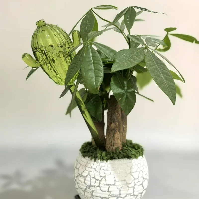 Unique Clear Plant Watering Ca - Gardening Tools For Beginners ulasan dan harga