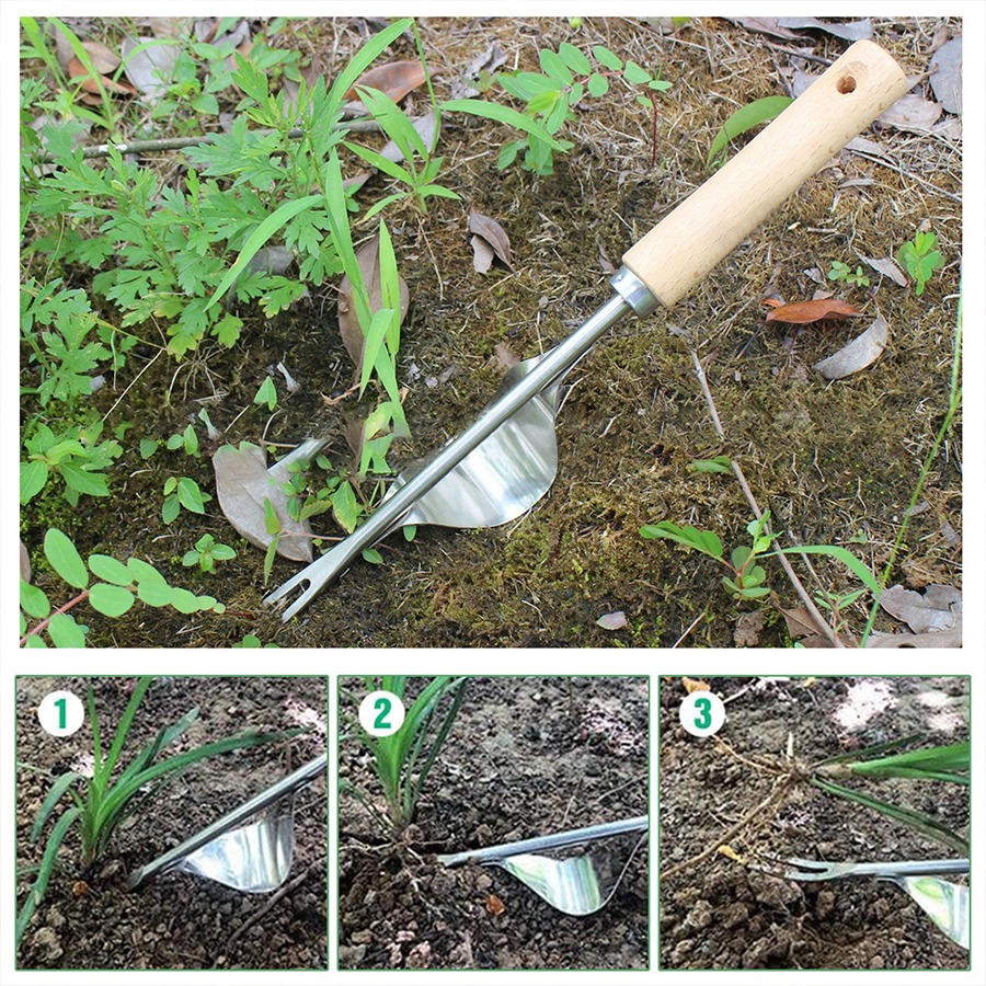 Manual Weed Puller Tool Stainl - Gardening Tools To Remove Weeds ulasan dan harga