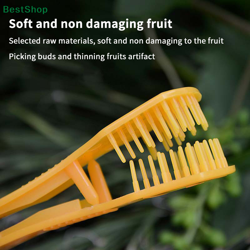 〔Victoria〕Grape Pruning Clip T - Gardening Tools Victoria ulasan dan harga