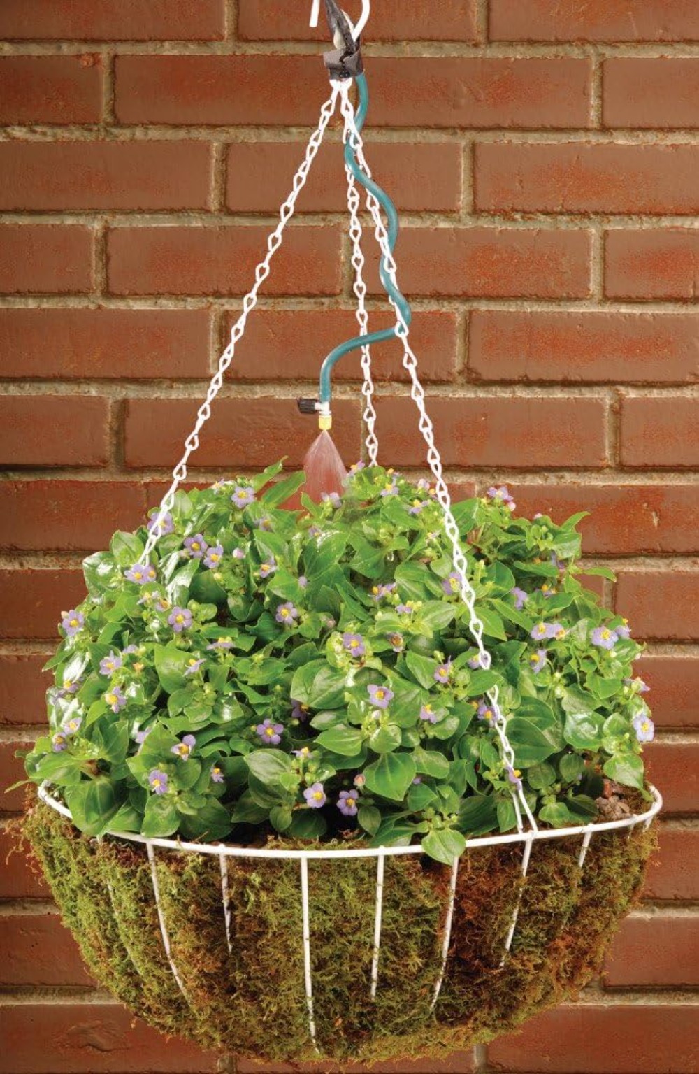 Hanging Basket Drip Irrigation - Drip Irrigation Kit ulasan dan harga