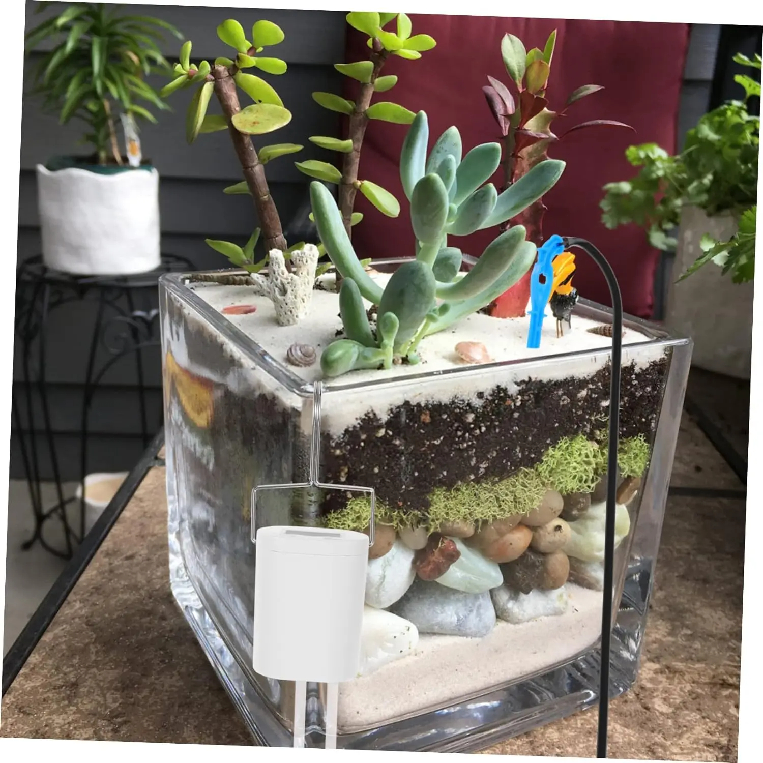 Automatic Plant Flower Waterin - Gardening Tools For Beginners ulasan dan harga