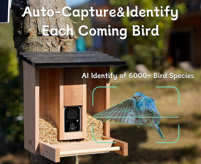 Bamboo wood intelligent bird f - Gardening Tools With Definition ulasan dan harga