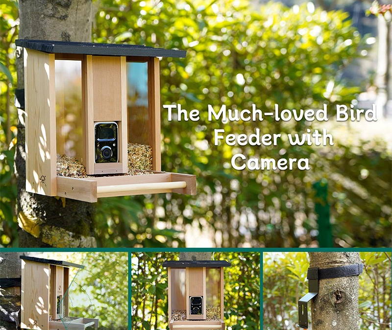 Bamboo wood intelligent bird f - Gardening Tools With Definition ulasan dan harga