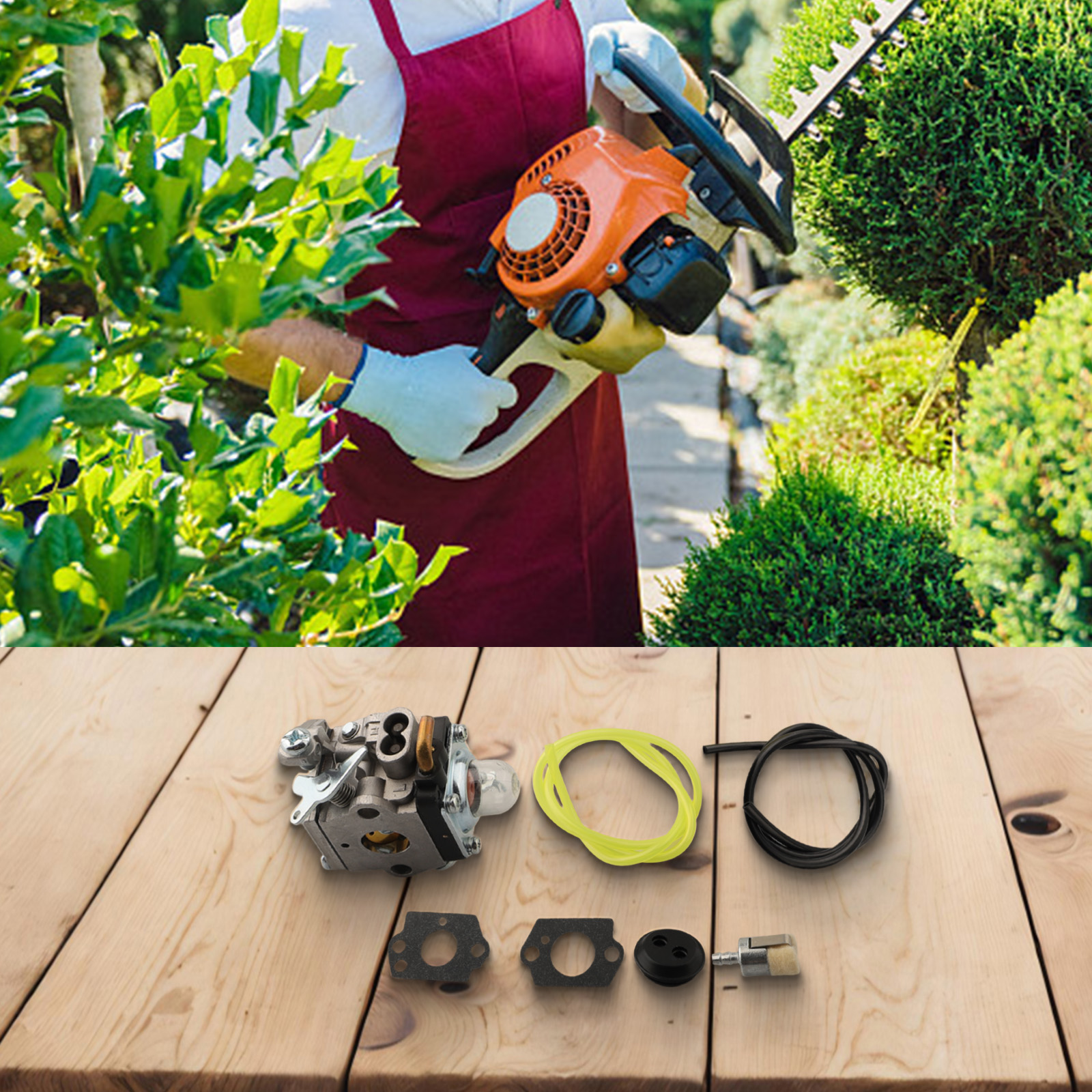 122HD45 Carburetor Color As Th - Gardening Tools Name With Picture ulasan dan harga