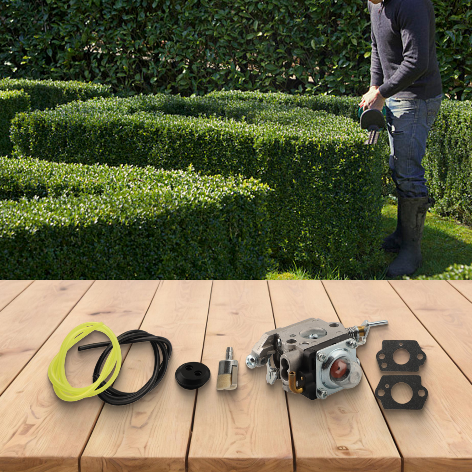 122HD45 Carburetor Color As Th - Gardening Tools Name With Picture ulasan dan harga
