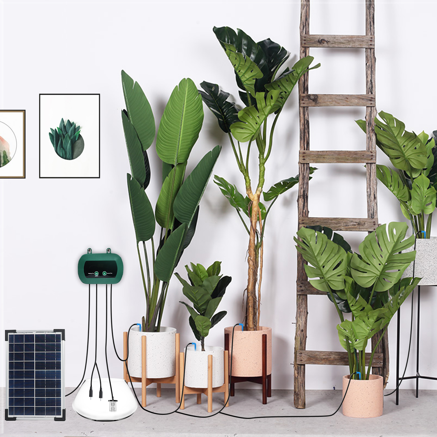 Solar Hydroponics Equipment  M - Drip Irrigation Kit ulasan dan harga