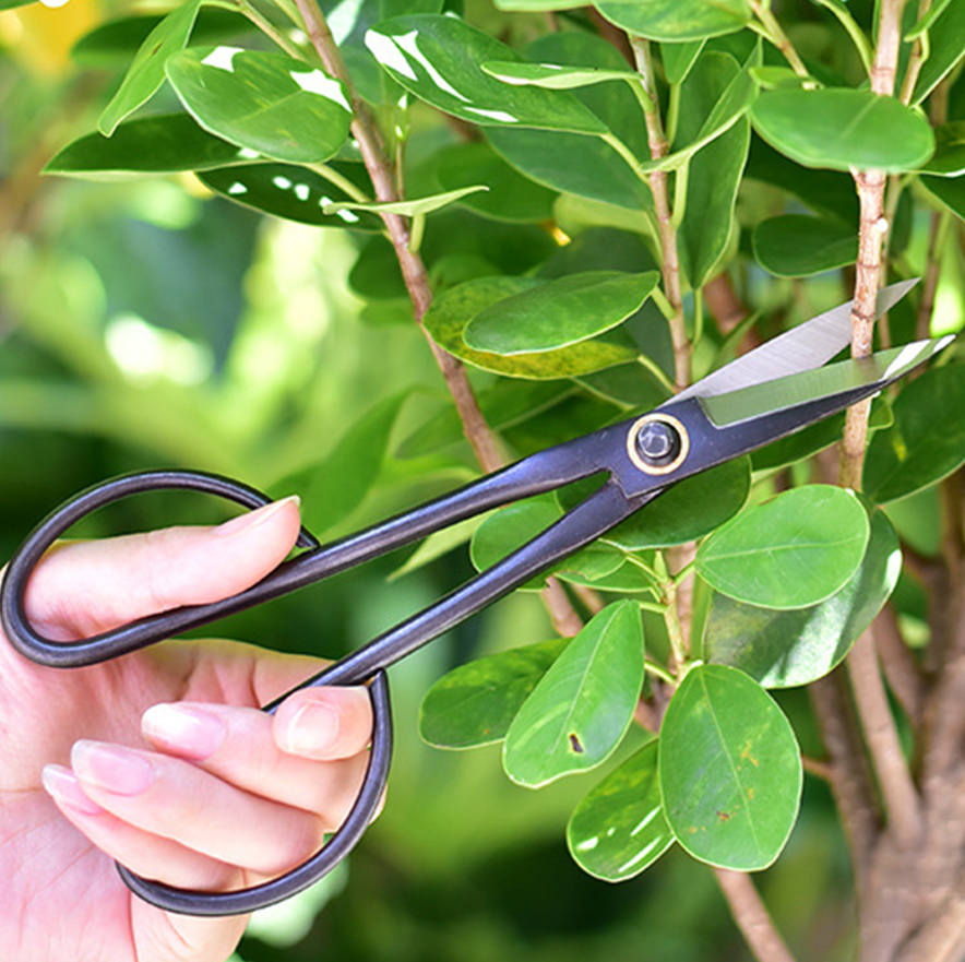 20.5cm Beginner Bonsai Tool Lo - Gardening Tools For Beginners ulasan dan harga