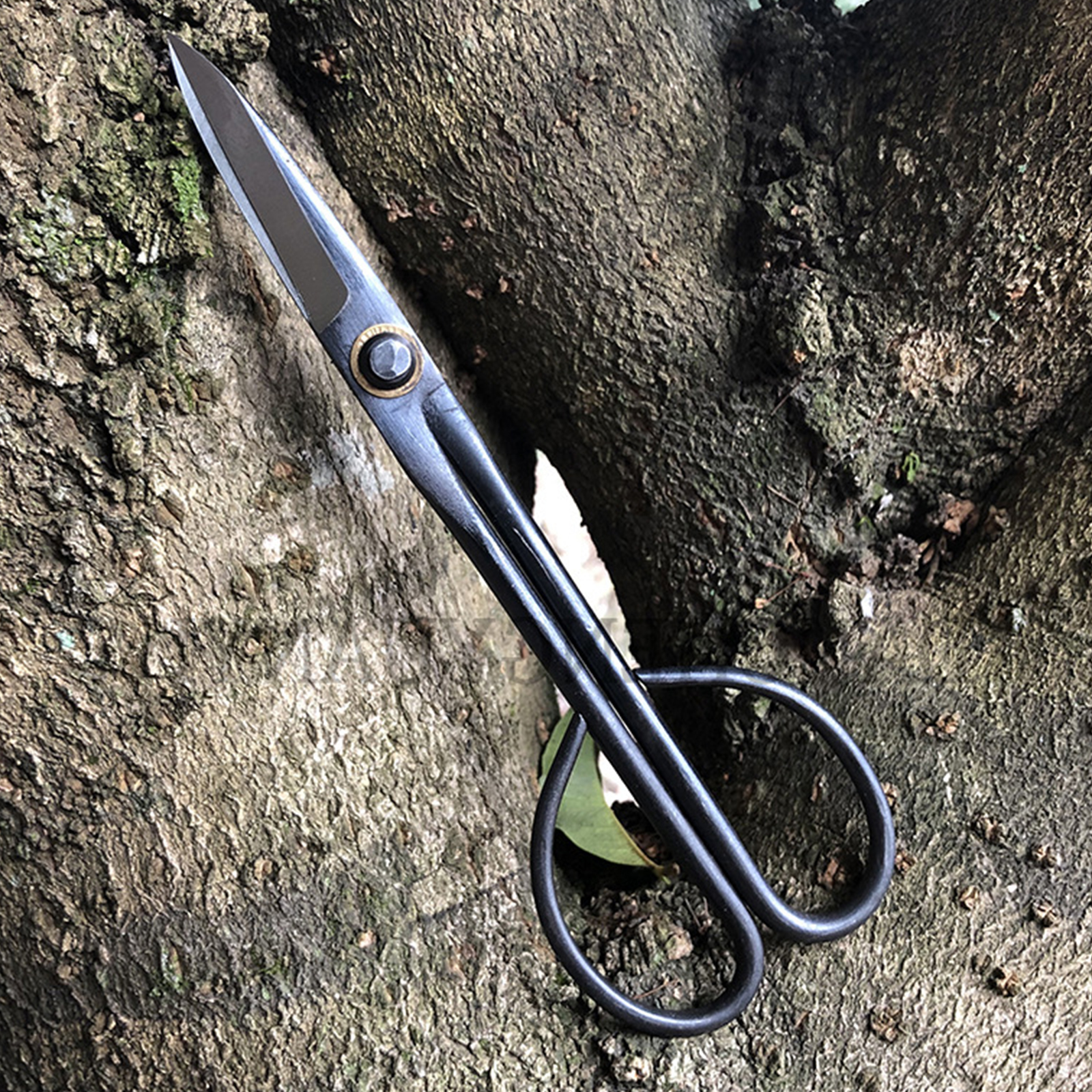 20.5cm Beginner Bonsai Tool Lo - Gardening Tools For Beginners ulasan dan harga